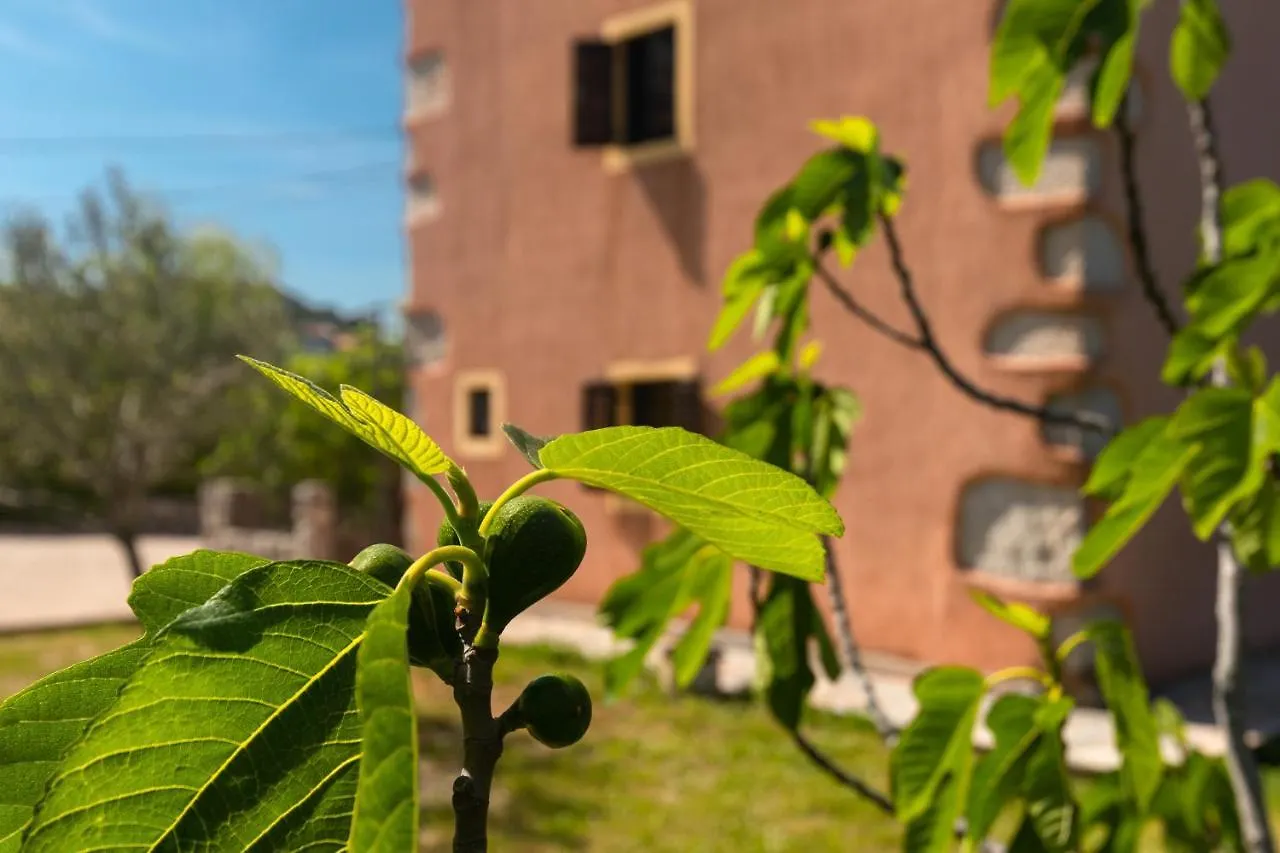 Apartments Lina - Countryside Holiday With Your Pet Vrh  Croatia
